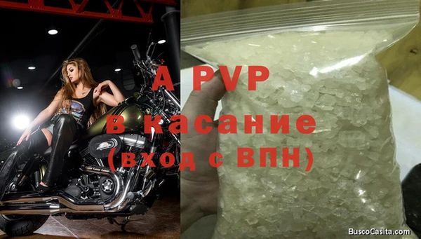сатива Алексеевка